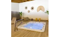 Аксессуар для Aquavia SPA | Бар доступа к встроенному спа