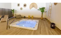 Accesoriu pentru Aquavia SPAS | Bar cu acces la spa încastrat